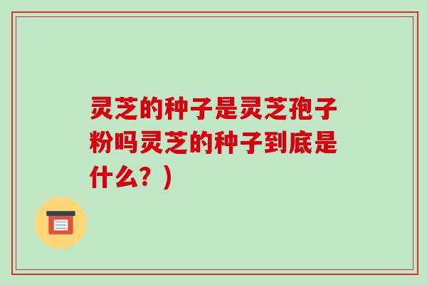 灵芝的种子是灵芝孢子粉吗灵芝的种子到底是什么？)