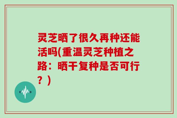 灵芝晒了很久再种还能活吗(重温灵芝种植之路:晒干复种是否可行?)