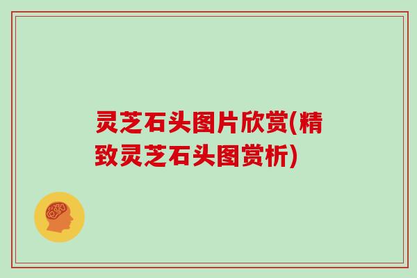 灵芝石头图片欣赏(精致灵芝石头图赏析)