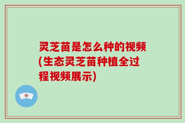 灵芝苗是怎么种的视频(生态灵芝苗种植全过程视频展示)