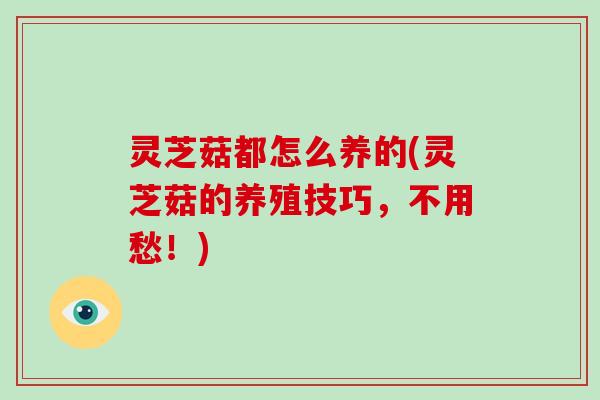灵芝菇都怎么养的(灵芝菇的养殖技巧,不用愁!)