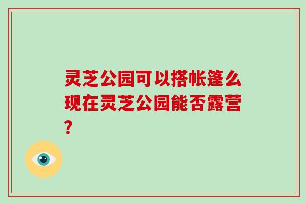 灵芝公园可以搭帐篷么现在灵芝公园能否露营?