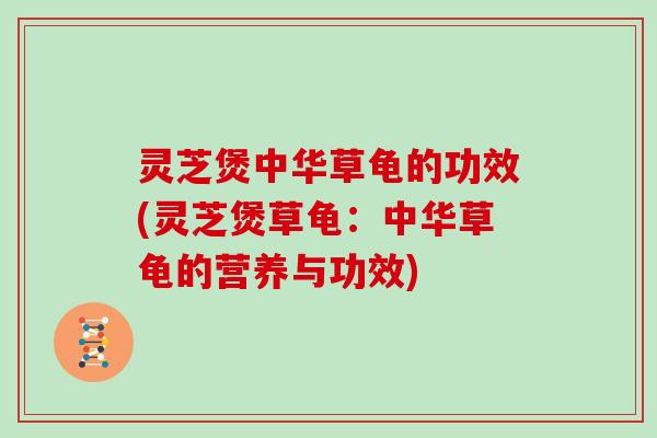 灵芝煲中华草龟的功效(灵芝煲草龟:中华草龟的营养与功效)