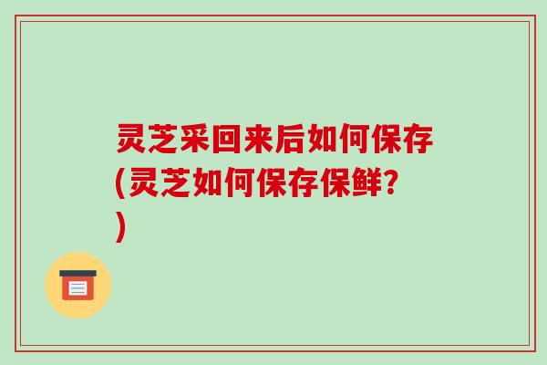 灵芝采回来后如何保存(灵芝如何保存保鲜?)
