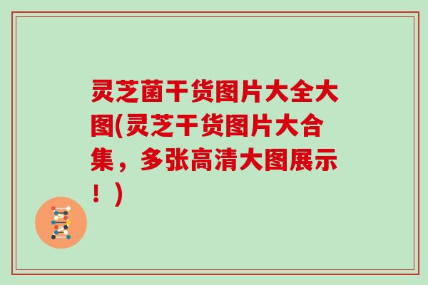 灵芝菌干货图片大全大图(灵芝干货图片大合集,多张高清大图展示!)