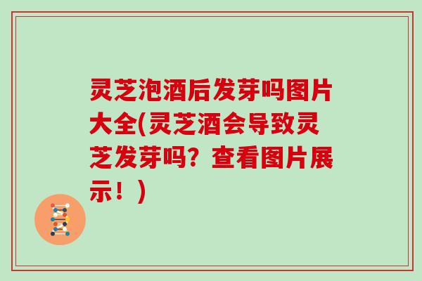 灵芝泡酒后发芽吗图片大全(灵芝酒会导致灵芝发芽吗?查看图片展示!)