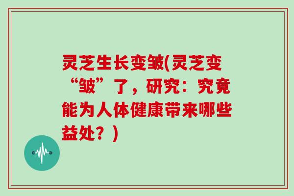 灵芝生长变皱(灵芝变“皱”了,研究:究竟能为人体健康带来哪些益处?)