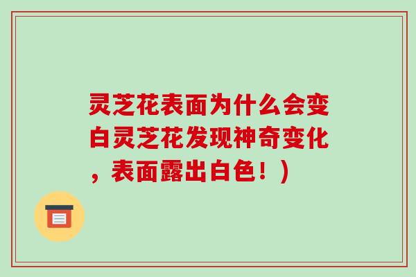 灵芝花表面为什么会变白灵芝花发现神奇变化，表面露出白色！)