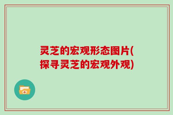 灵芝的宏观形态图片(探寻灵芝的宏观外观)