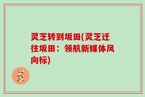 灵芝转到坂田(灵芝迁往坂田：领航新媒体风向标)