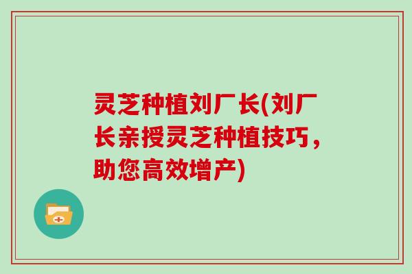 灵芝种植刘厂长(刘厂长亲授灵芝种植技巧,助您高效增产)