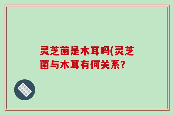 灵芝菌是木耳吗(灵芝菌与木耳有何关系？