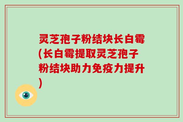 灵芝孢子粉结块长白霉(长白霉提取灵芝孢子粉结块助力免疫力提升)