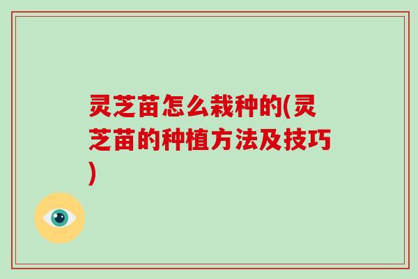 灵芝苗怎么栽种的(灵芝苗的种植方法及技巧)