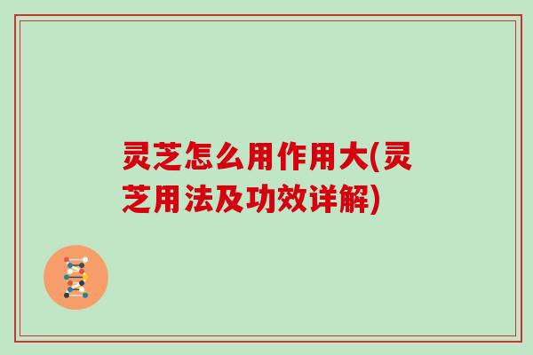 灵芝怎么用作用大(灵芝用法及功效详解)