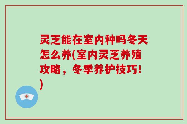 灵芝能在室内种吗冬天怎么养(室内灵芝养殖攻略,冬季养护技巧!)