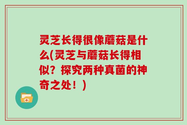 灵芝长得很像蘑菇是什么(灵芝与蘑菇长得相似?探究两种真菌的神奇之处!)