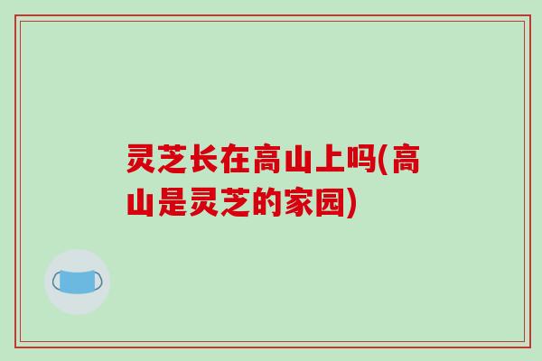 灵芝长在高山上吗(高山是灵芝的家园)