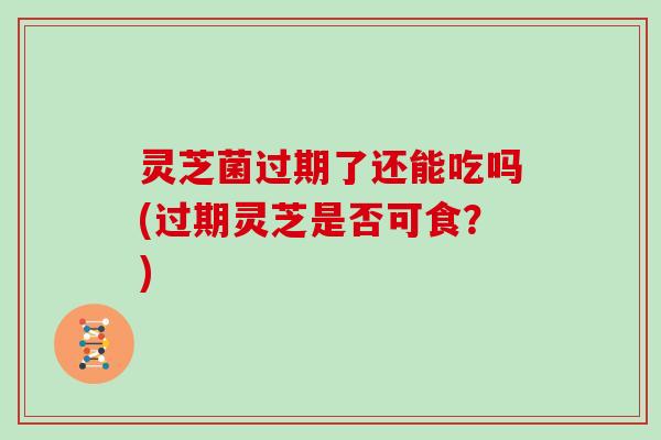 灵芝菌过期了还能吃吗(过期灵芝是否可食?)