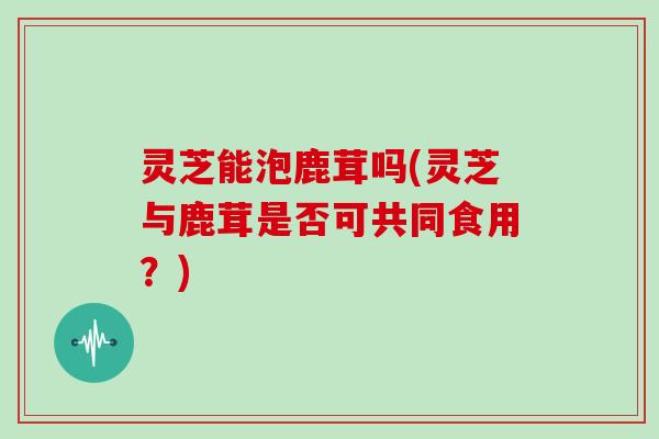 灵芝能泡鹿茸吗(灵芝与鹿茸是否可共同食用?)