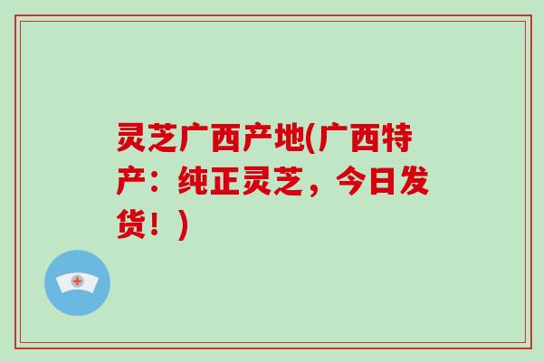 灵芝广西产地(广西特产:纯正灵芝,今日发货!)
