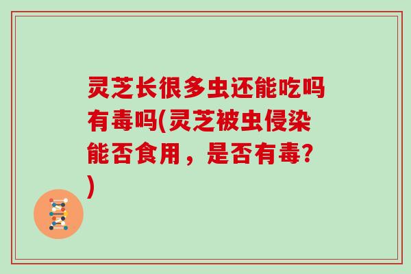 灵芝长很多虫还能吃吗有毒吗(灵芝被虫侵染能否食用，是否有毒？)