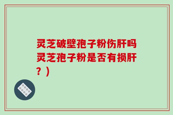 灵芝破壁孢子粉伤肝吗灵芝孢子粉是否有损肝?)