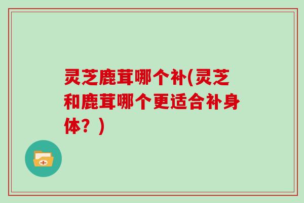 灵芝鹿茸哪个补(灵芝和鹿茸哪个更适合补身体?)