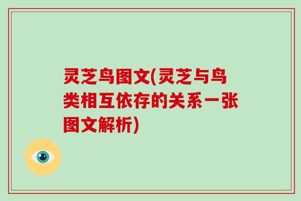 灵芝鸟图文(灵芝与鸟类相互依存的关系一张图文解析)