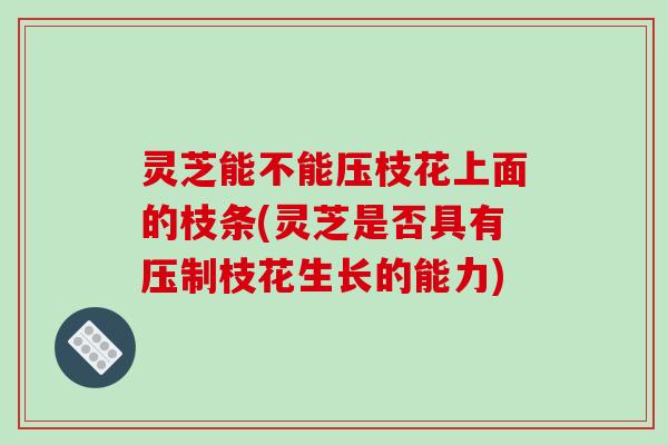 灵芝能不能压枝花上面的枝条(灵芝是否具有压制枝花生长的能力)