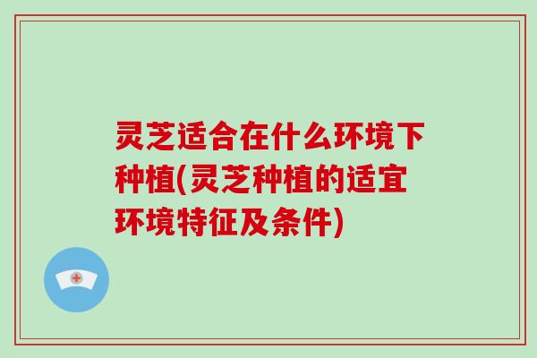 灵芝适合在什么环境下种植(灵芝种植的适宜环境特征及条件)