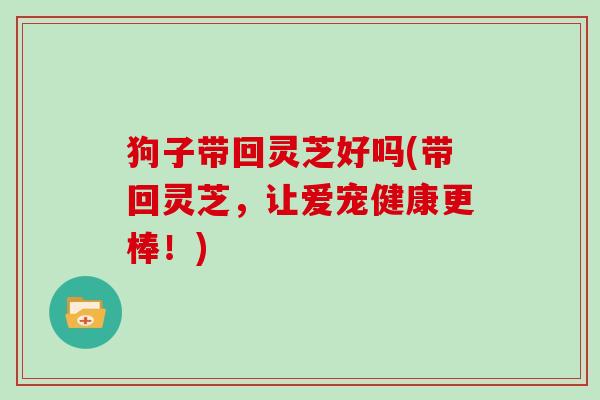 狗子带回灵芝好吗(带回灵芝,让爱宠健康更棒!)