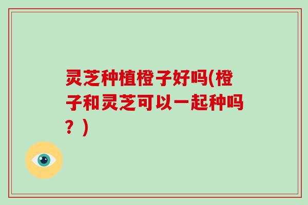 灵芝种植橙子好吗(橙子和灵芝可以一起种吗?)