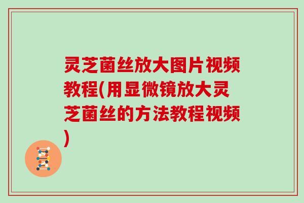 灵芝菌丝放大图片视频教程(用显微镜放大灵芝菌丝的方法教程视频)