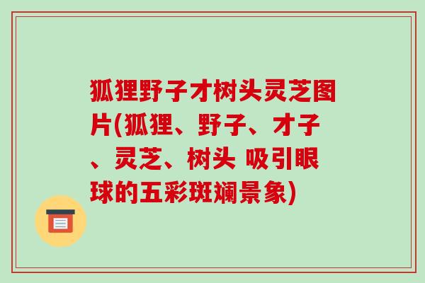 狐狸野子才树头灵芝图片(狐狸、野子、才子、灵芝、树头 吸引眼球的五彩斑斓景象)