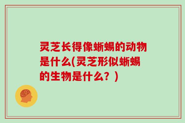 灵芝长得像蜥蜴的动物是什么(灵芝形似蜥蜴的生物是什么?)