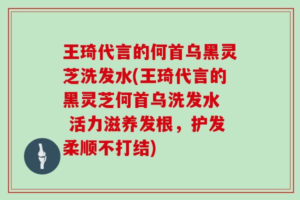 王琦代言的何首乌黑灵芝洗发水(王琦代言的黑灵芝何首乌洗发水 活力滋养发根,护发柔顺不打结)