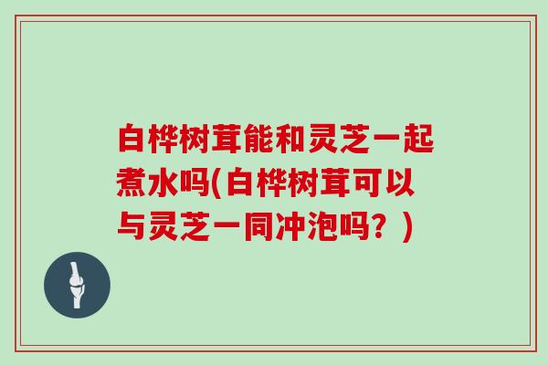 白桦树茸能和灵芝一起煮水吗(白桦树茸可以与灵芝一同冲泡吗?)