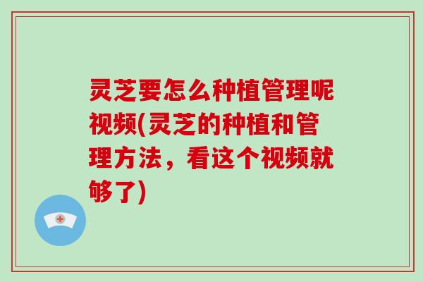 灵芝要怎么种植管理呢视频(灵芝的种植和管理方法,看这个视频就够了)