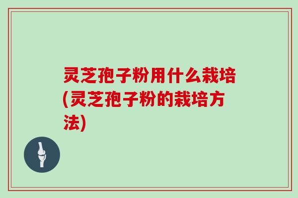 灵芝孢子粉用什么栽培(灵芝孢子粉的栽培方法)