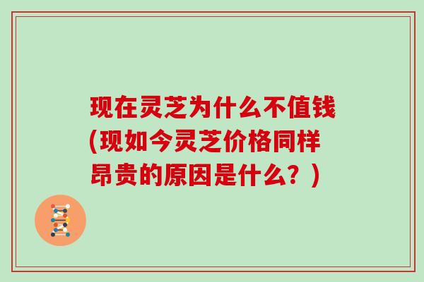 现在灵芝为什么不值钱(现如今灵芝价格同样昂贵的原因是什么？)