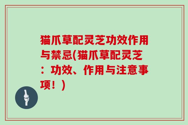 猫爪草配灵芝功效作用与禁忌(猫爪草配灵芝:功效、作用与注意事项!)