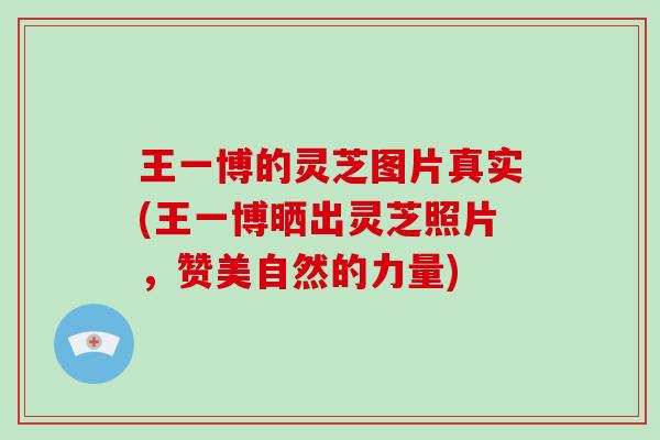 王一博的灵芝图片真实(王一博晒出灵芝照片，赞美自然的力量)