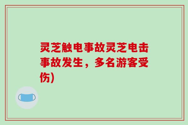 灵芝触电事故灵芝电击事故发生,多名游客受伤)