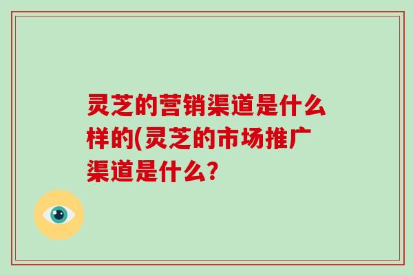 灵芝的营销渠道是什么样的(灵芝的市场推广渠道是什么?