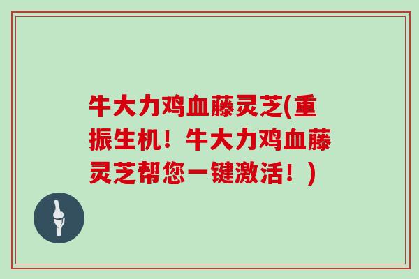 牛大力鸡血藤灵芝(重振生机!牛大力鸡血藤灵芝帮您一键激活!)
