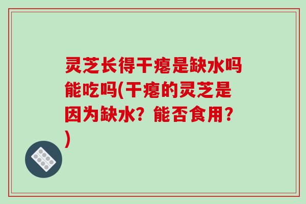 灵芝长得干瘪是缺水吗能吃吗(干瘪的灵芝是因为缺水？能否食用？)