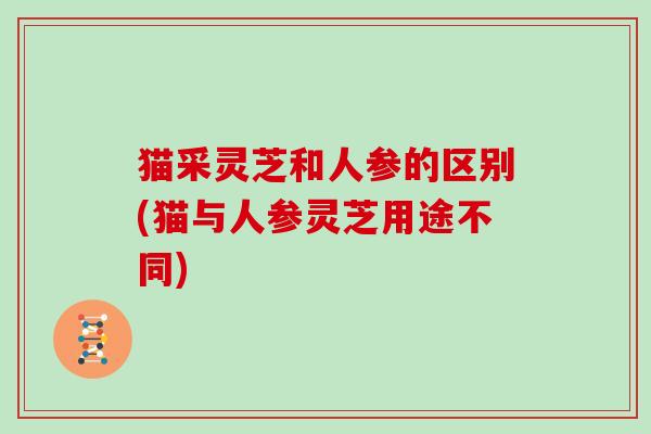 猫采灵芝和人参的区别(猫与人参灵芝用途不同)