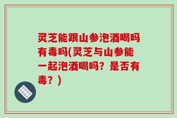灵芝能跟山参泡酒喝吗有毒吗(灵芝与山参能一起泡酒喝吗?是否有毒?)