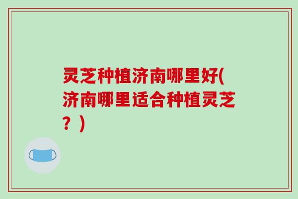 灵芝种植济南哪里好(济南哪里适合种植灵芝?)